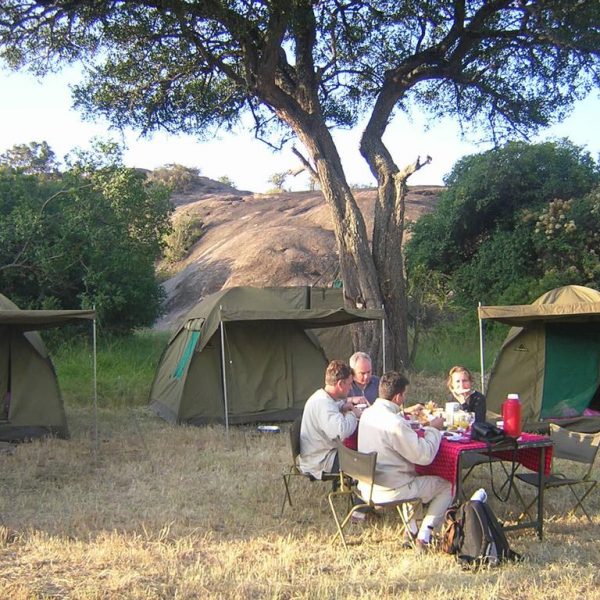 4 Day Budget Camping Safari