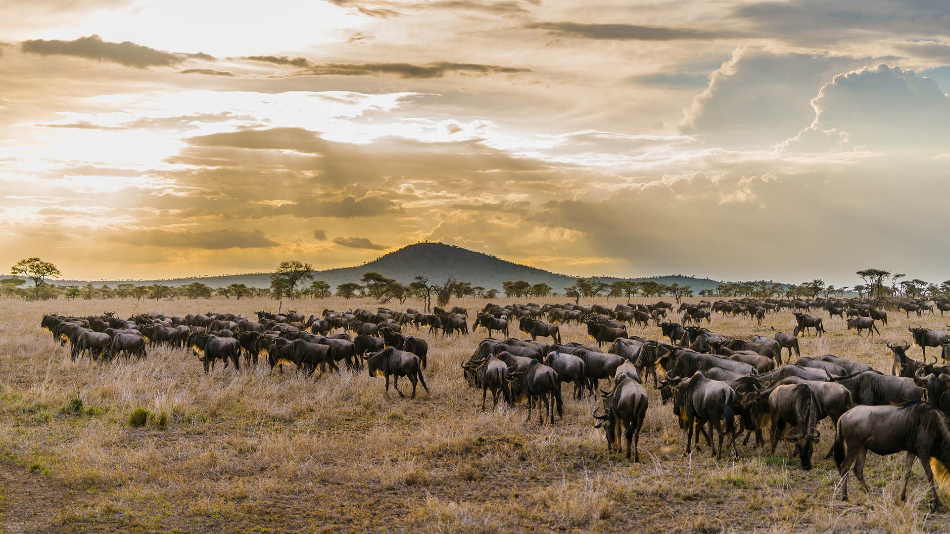 Best time to visit Tanzania