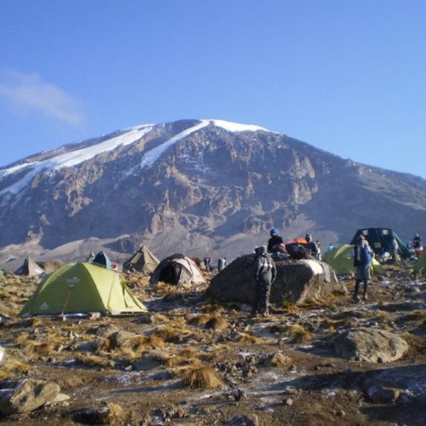 Kilimanjaro and safari