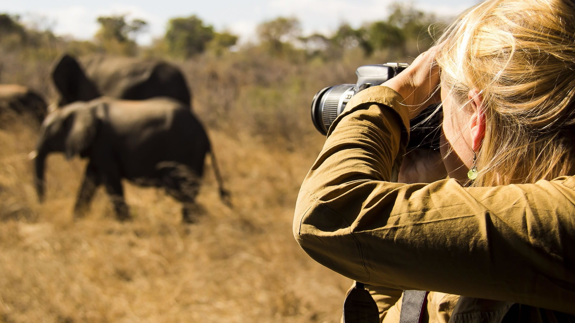 photographic safari