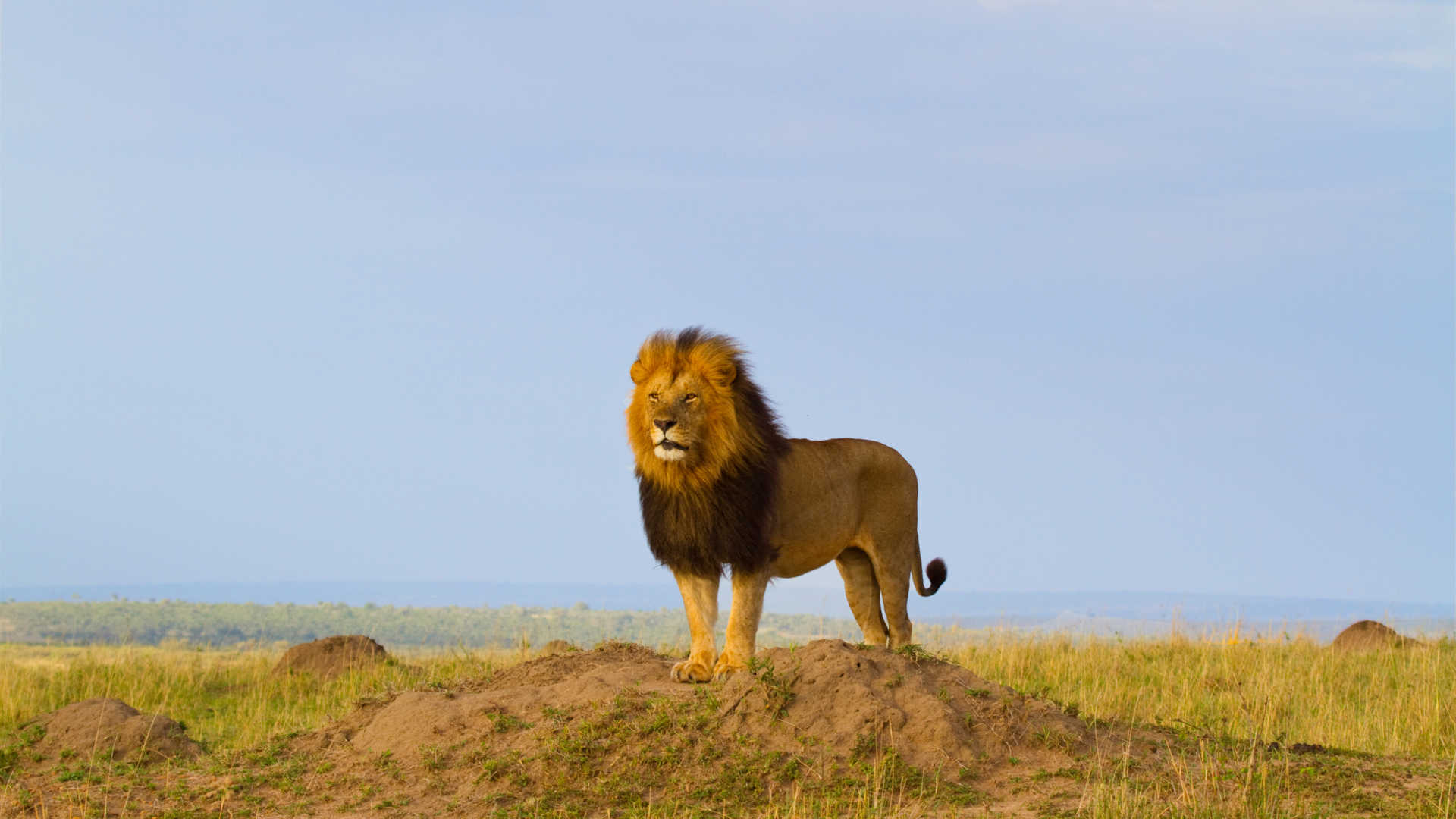 Tanzania safari destinations