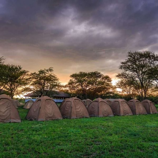 4 Day Budget Camping Safari