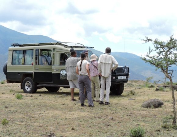 12 Days Private Guided Safari
