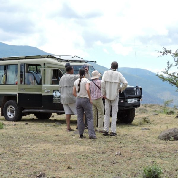12 Days Private Guided Safari