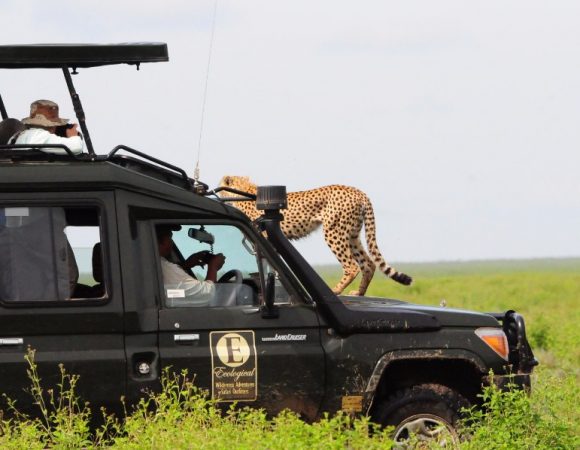 10 Day Tanzania Highlights Safari
