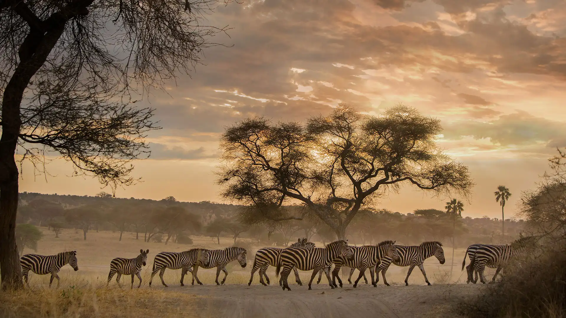 Tanzania safari weather