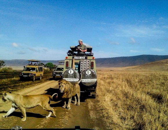 Day trip to Ngorongoro