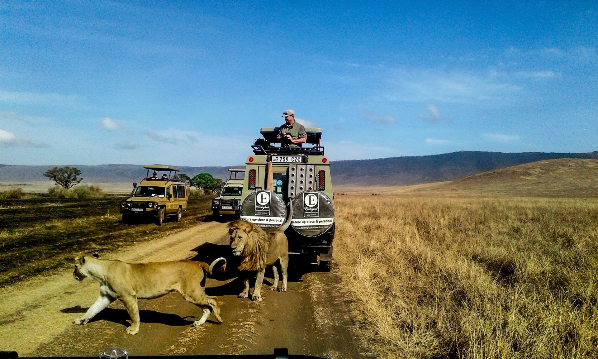 Day trip to Ngorongoro