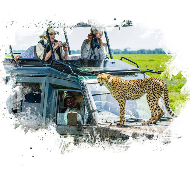 Tanzania Safari Company