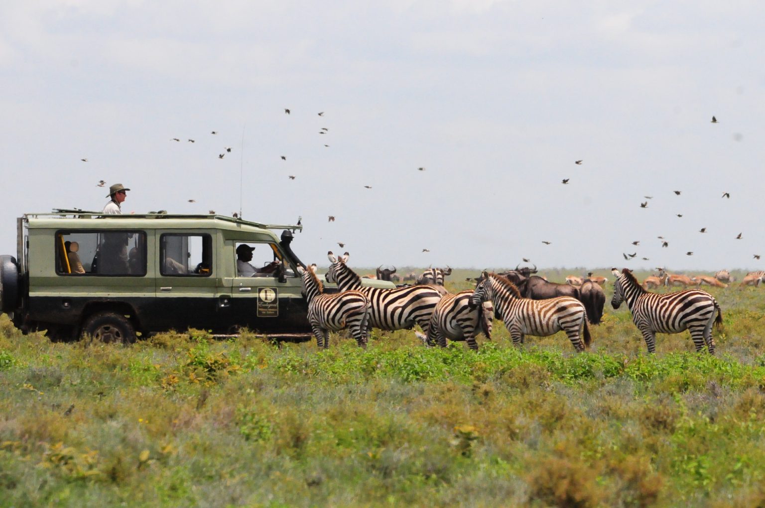 Private Guided Safaris