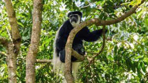 Arusha National Park