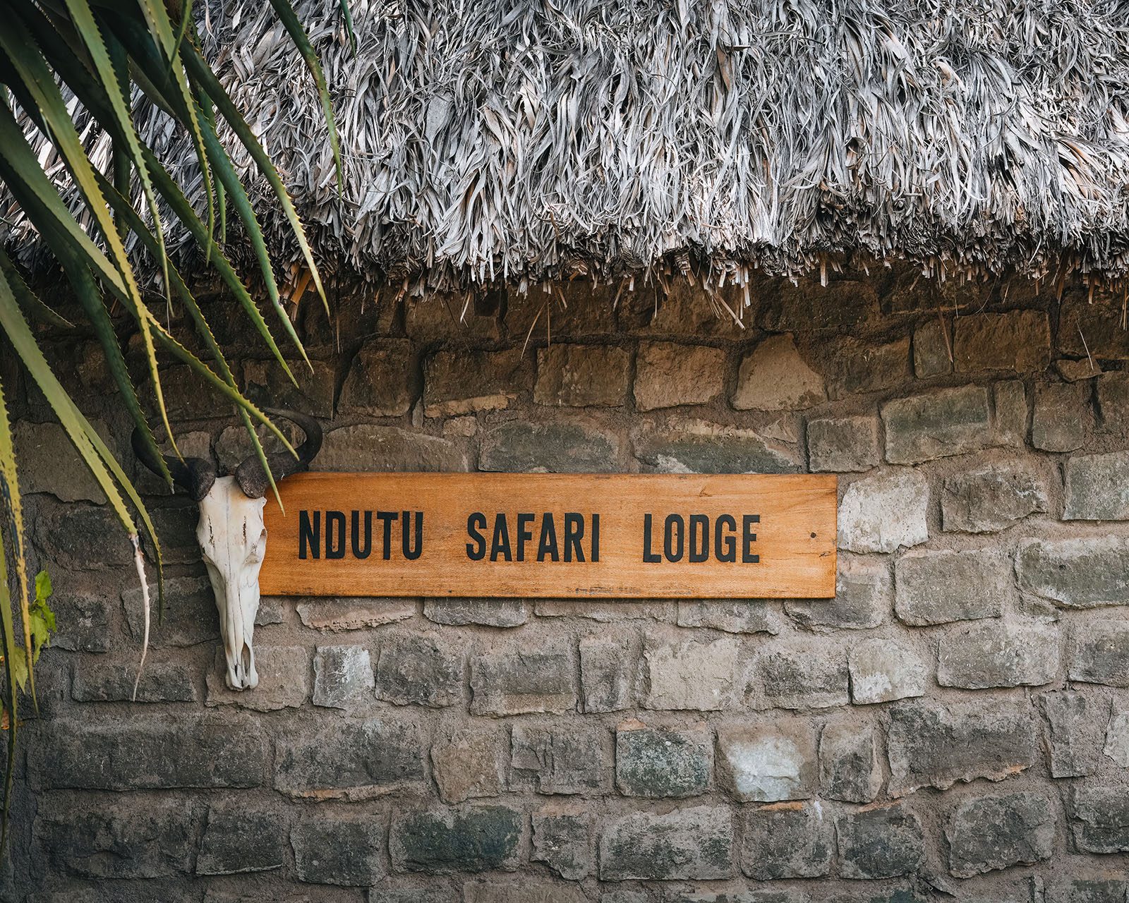 Ndutu Safari Lodge