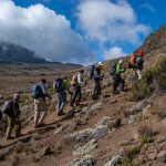 Kilimanjaro Rongai Route Climb – 6 Days