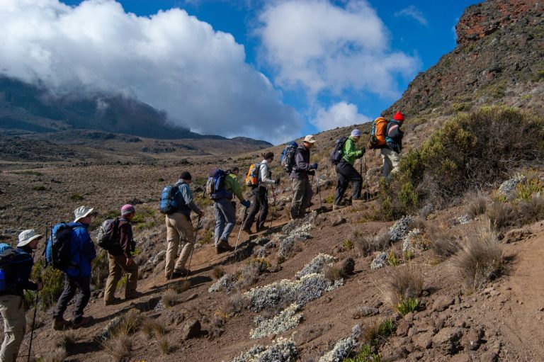 Kilimanjaro Rongai Route Climb – 6 Days