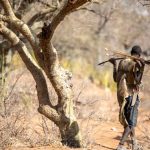 9-Day Tanzania Safari with Hadzabe Bushmen Experience