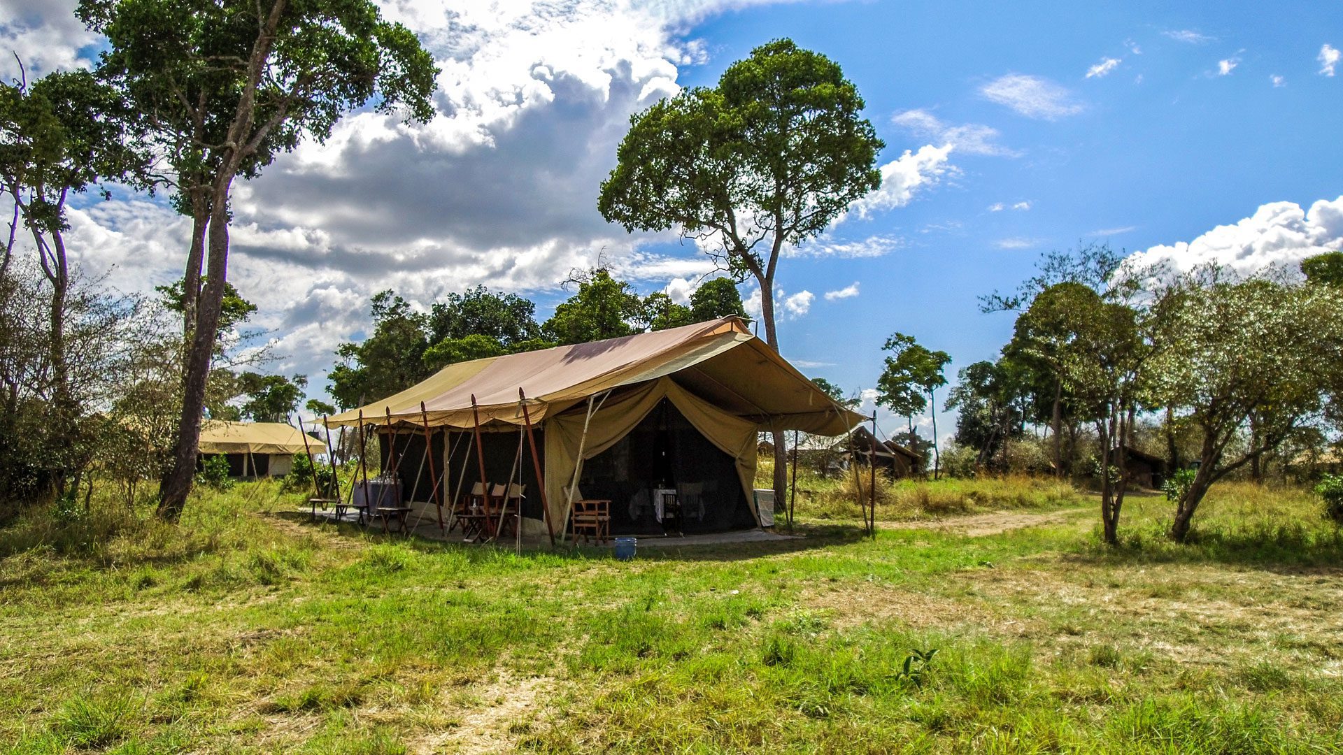 Serengeti Savannah Camp