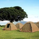 6-Day Serengeti Camping Safari