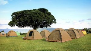 6-Day Serengeti Camping Safari