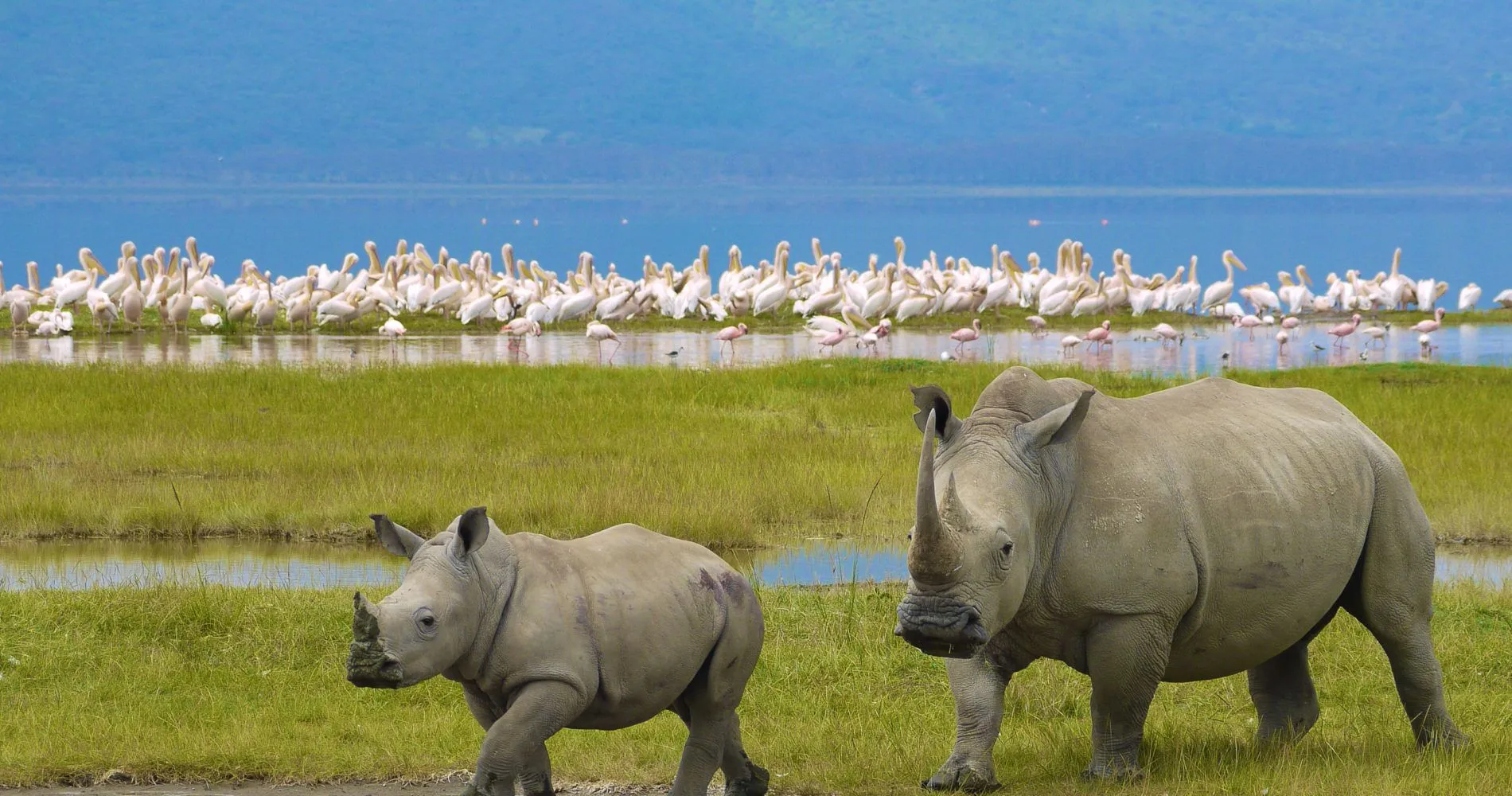 Ngorongoro-Tanzania