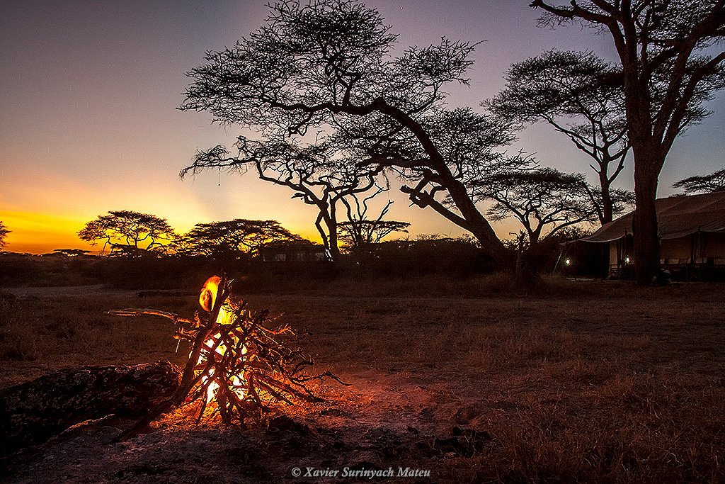 bonfire-at-sunset-to