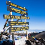 13-Day Kilimanjaro Climb & Big Five Safari