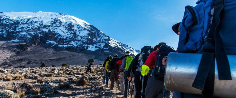 Kilimanjaro Rongai Route Climb – 7 Days