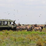 7-Day Glimpse of Northern Tanzania Safari