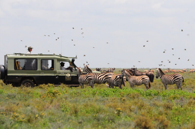 7-Day Glimpse of Northern Tanzania Safari