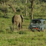 7-Day Glimpse of Northern Tanzania Safari