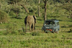 7-Day Glimpse of Northern Tanzania Safari